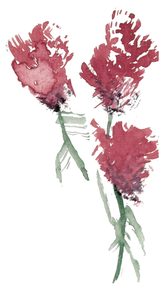 dark red thistles and goldenrod