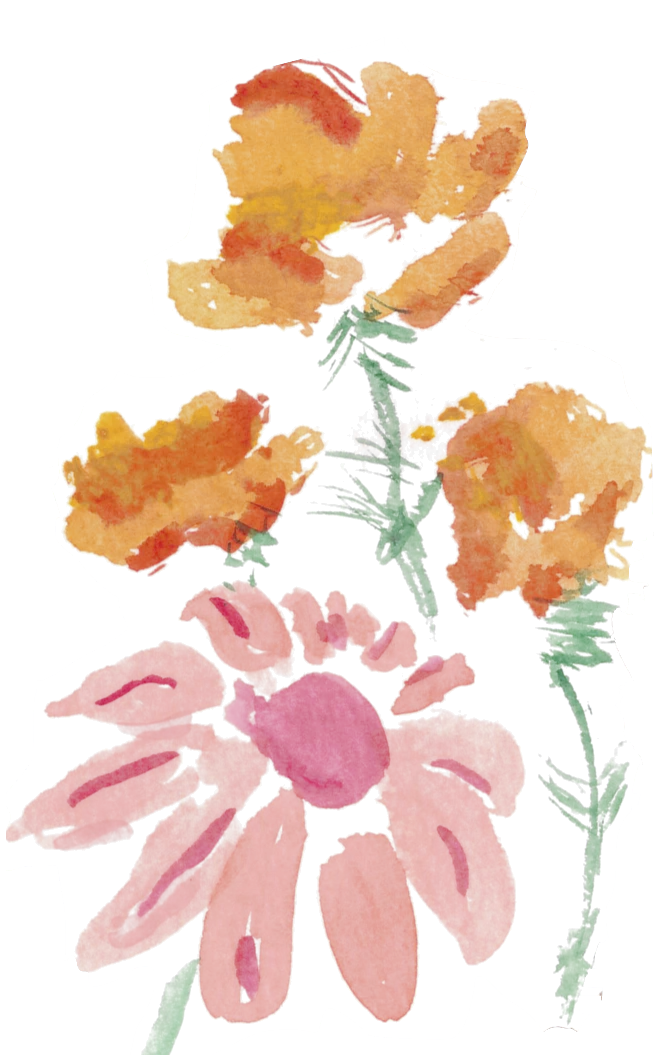 watercolor poppies and a coneflower